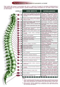 Riflessi spinali - PDF 6,5 Mb